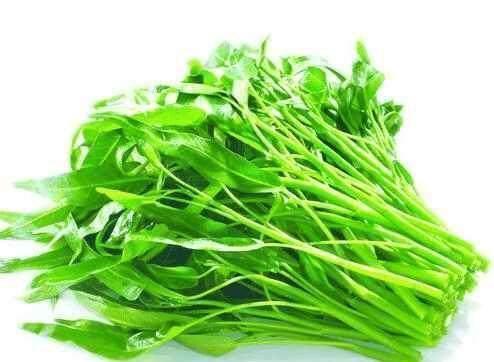 罗阿花|102岁老人,器官年龄只有30几岁!每天就喜欢吃这菜!