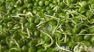 菜市场|4种蔬菜发芽后，不仅没毒，营养还翻倍，可以放心吃