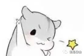 浙江音乐学院|岱山姑娘登上《中国好声音》舞台！那英、李荣浩为她转身！