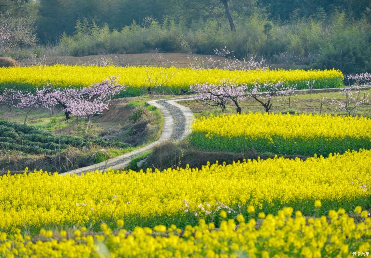 在安徽黟县旅行，西递、屏山、桃花源这三个地方，很值得看一看