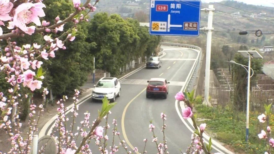 3月还未到，成都桃花已满山！