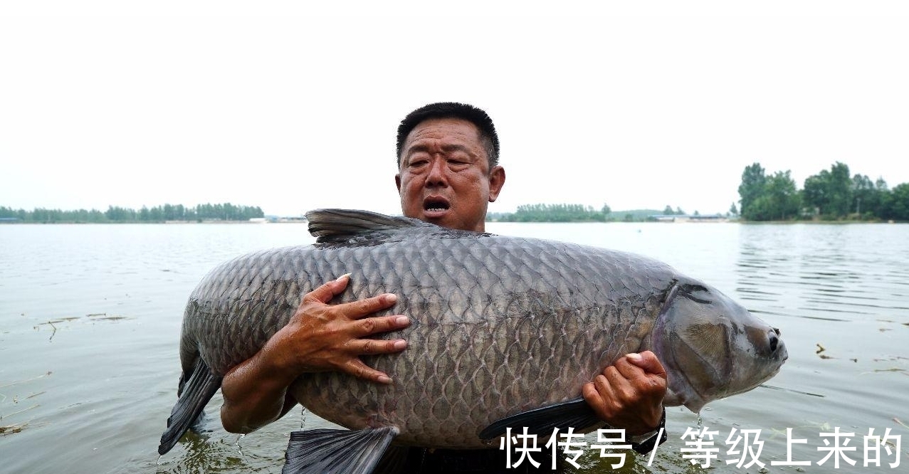 大毛|李大毛：钓鱼界的第一游钓达人，手竿“擒获”150斤巨青一战成名