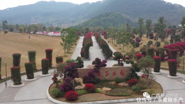 老年|大年初一行大运,南宁路上“红通通”,你参与了吗?