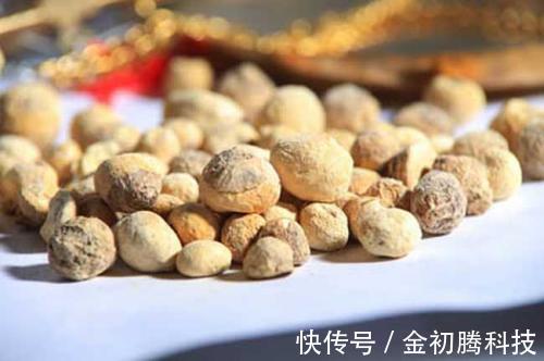 風寒濕|老藥工私藏一生的“止疼方”三味藥，橫掃風寒濕，源于本草綱目