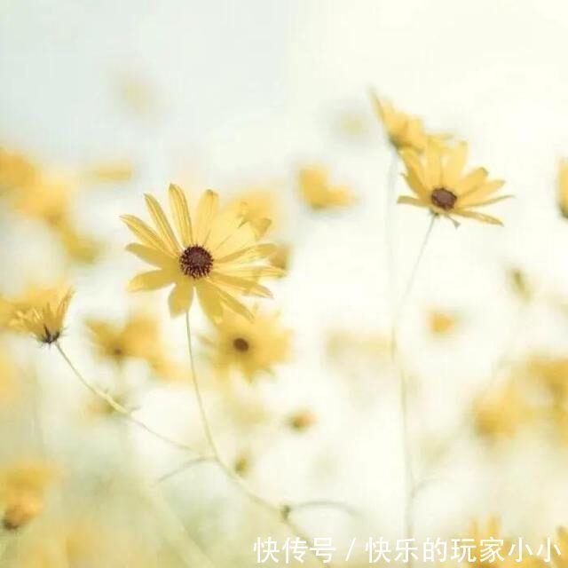 |开心一刻，十个幽默搞笑笑话