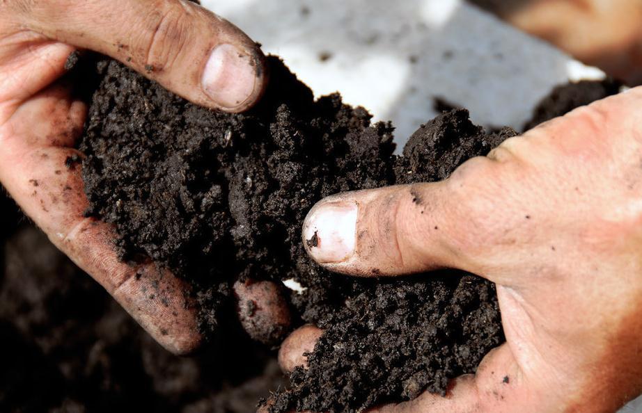 养花土壤不知道怎么配,这里有2种方法,轻轻松松能配好