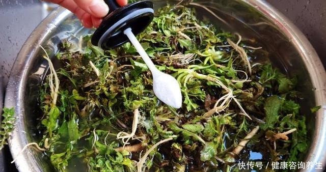 冬天,吃萝卜白菜不如吃它,鲜嫩营养高,遇到多囤些,从冬吃到春!