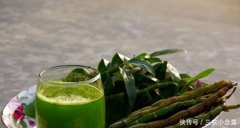 人群|铁皮石斛功效全面, 适宜人群你在其中吗?