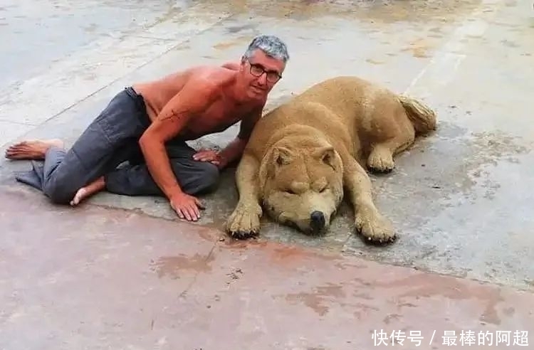 他创作出超写实的沙雕动物,一头用沙子堆成的公牛,引起轰动