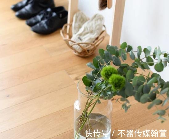 绿色植被|美学家居:用“绿植”装点房间,究竟有多雅致?