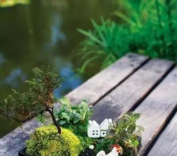 她把家里的破盘子改造成景观盆栽,不花一分钱