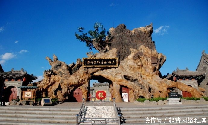 老百姓|看看自己的小脚趾,也许我们都是明朝大槐树移民的后代