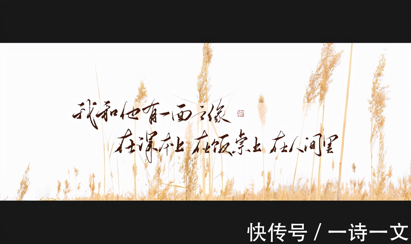 形只影#我不敢看他一眼,我生怕我燎原