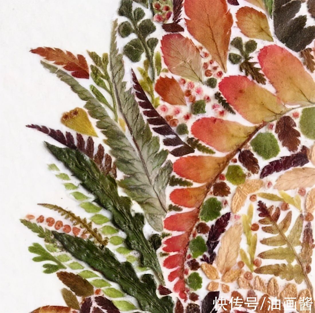 艺术作品&她画画的材料是花瓣,工具是把刀,直接用刀刻出画