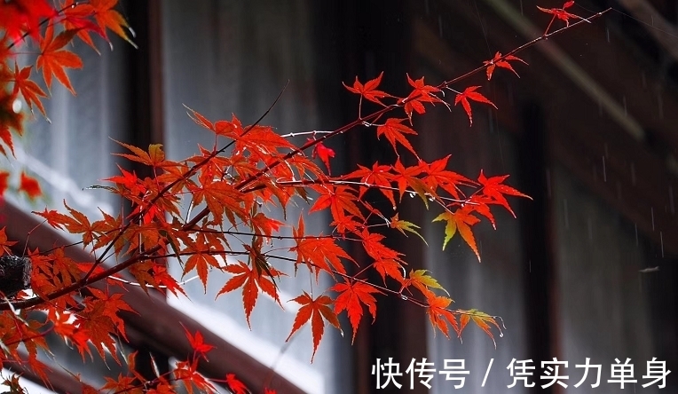 诚信@《左传》十句名言,受益终身!