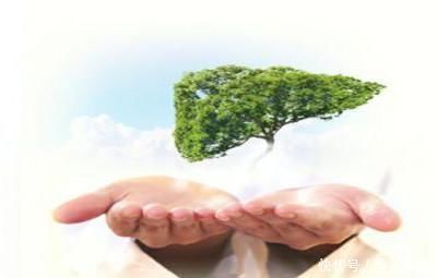 乙肝|辟谣:幼儿园检查乙肝抗体,80%的孩子没有抗体?没有抗体怎么办