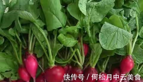江南人|60种常见野菜，高清大图，收集全了真不容易！