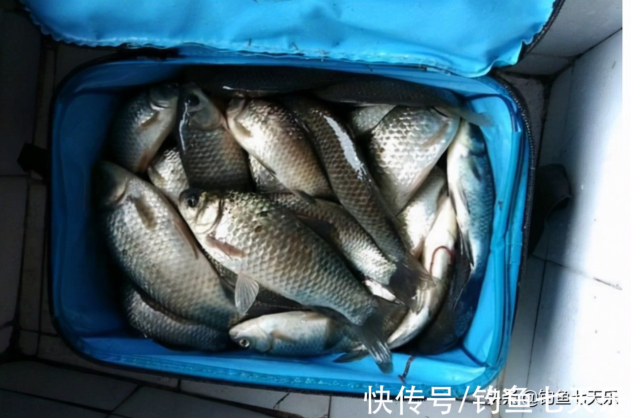 冬季钓不到鱼？分享6个冬季钓鲫鱼的垂钓技巧