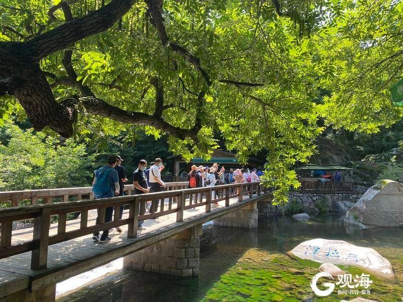 清流|雨后清流飞瀑，九水游览区成“颜值担当”