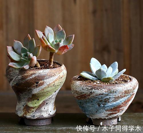 花友|3种花盆,再好看也不要用来养多肉,容易烂根化水!