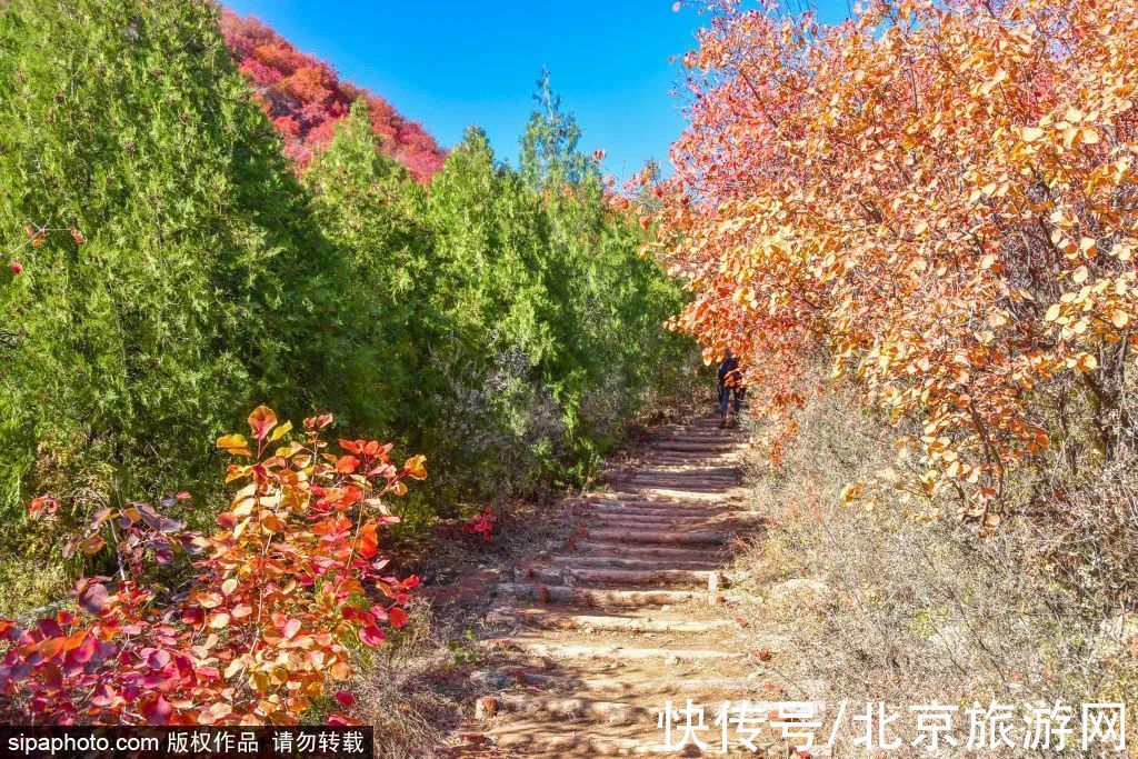 龙湾屯|舞彩浅山即将进入观赏期，带家人去登高赏景吧！