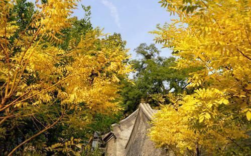 风景|中国建造的第一座寺庙，风景优美文物众多，每天有专人驻守