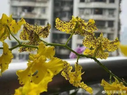 紧急提醒！近期尽量别穿这种颜色的衣服出门！