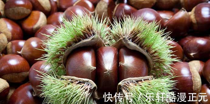 板栗|秋季健脾很重要,分享八种健脾的食物,多吃它们,顺利过秋季