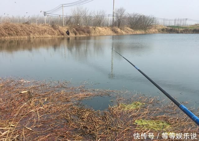 溶氧量|没有水草就不能钓鱼了吗根据这4点来找鱼，下竿之处即咬钩