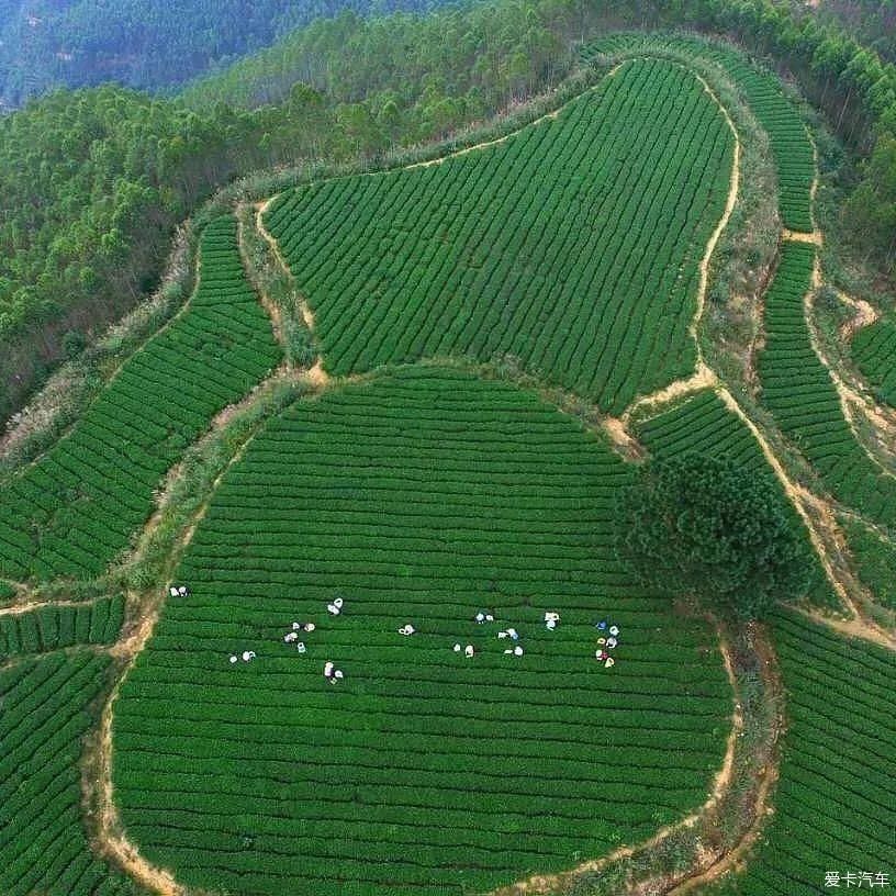 泉州——推荐你一生至少要去一次的城市