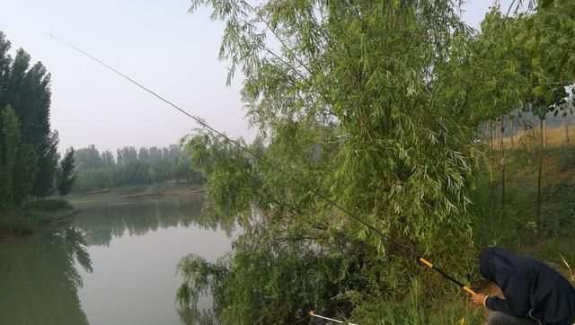 浑水也能钓鱼,老司机漫谈夏季浑水钓鱼技巧