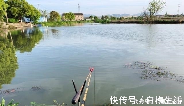 鱼星四起,鱼却不咬钩,着急解决不了问题,搞懂诱因方能化解