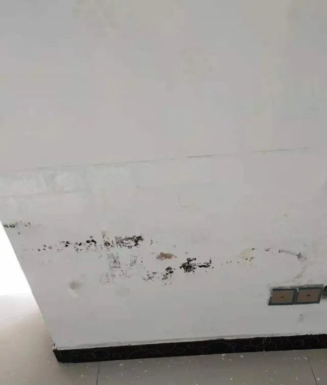 刘明|找新环境买精装二手房“带伤”？要求退中介费，回应：已提前告知