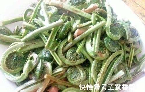 黄瓜|农村山里的一种野菜,营养价值高,尝一次不容易,见到全部买下