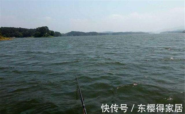 秋季|仲秋守大鱼,杂鱼总是来捣乱,钓鱼老司机说:杂鱼不闹,大鱼不到