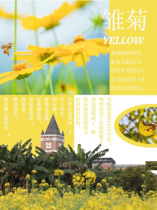 原来这些流行色，都藏在我们的协和里......