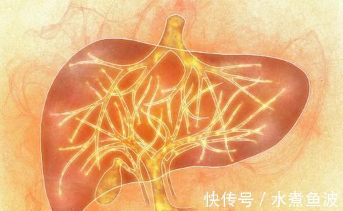 肝细胞|肝不好别吃药，多吃5种食物，给肝脏“大扫除”，肝越来越好!