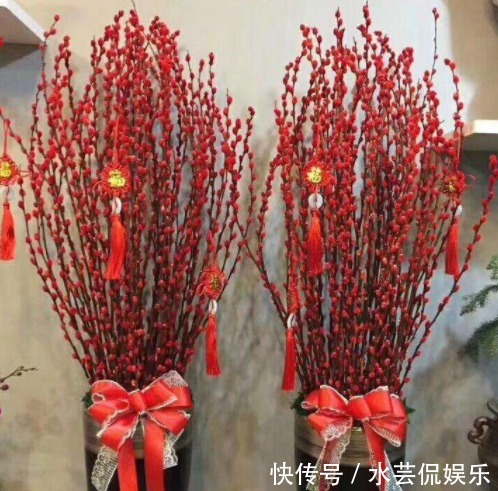 金钱树|“4种花卉”生意人偷着养，自己发财不告诉别人，摆在家中能发家