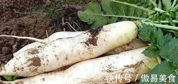 香菜根|这个东西要连皮吃,大病小病都不怕,最便宜的才几元一斤