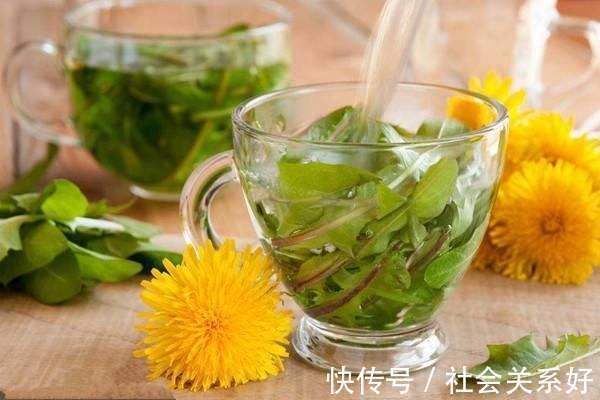 排毒草|李时珍蒲公英和它泡，连喝1周肾脏变强，口臭没了肝也干净了