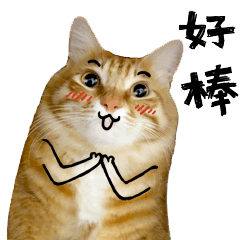 粉底液|故宫出彩妆?彩妆大师毛戈平也来插一脚?我的钱包恐怕保不住了!