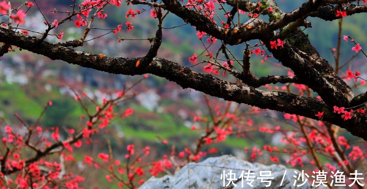 赵匡胤@南唐后主李煜最经典的十首词,篇篇都是千古名篇