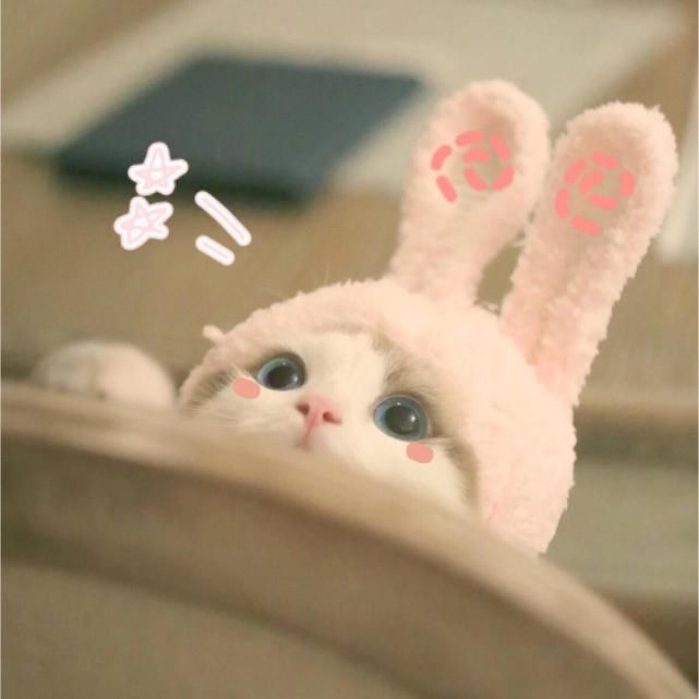 催了好久的春夏爱用口红合集终于来咯！