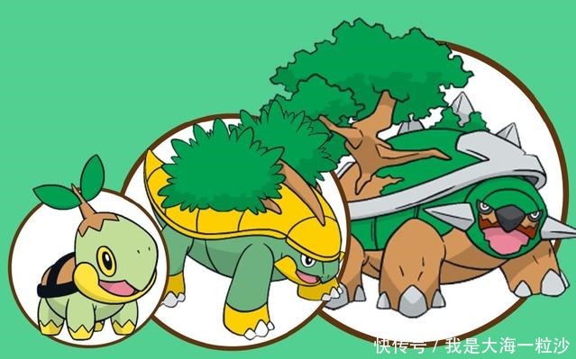 盘点《精灵宝可梦》中的龟形宝可梦,最后一只还有龙属性