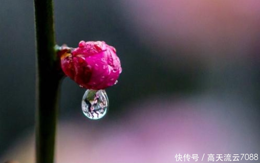 七绝《喜降春雨》