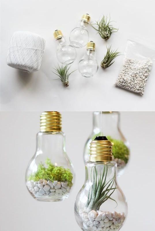 阳台|把灯泡拿去养花,挂在阳台上太好看了!真的太佩服邻居的脑洞