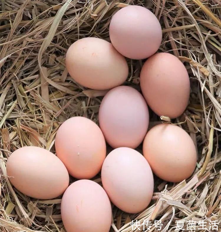 土壤肥力|家里的鸡蛋壳不要扔,拿来养花妙用多,现在知道还不晚!