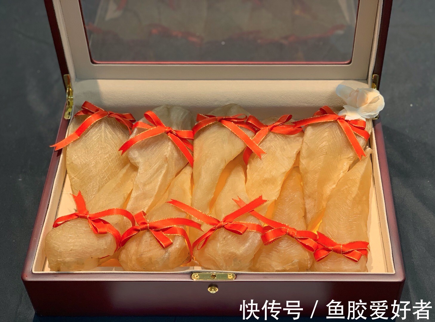 鳘鱼胶和黄花胶哪个好