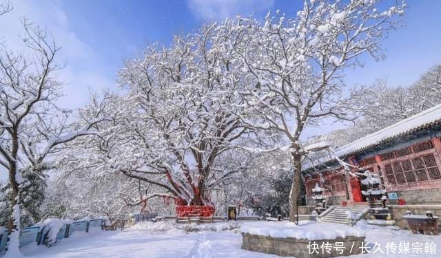 荣成五彩盐田遇上皑皑白雪，美成了诗