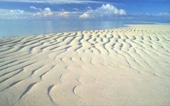 中年|当地人提醒:去到沙漠看到西瓜不能随便摘,以免发生不必要的麻烦